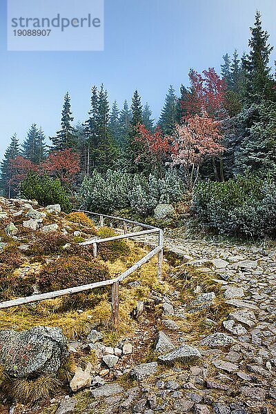 Steinweg entlang des Waldes in herbstlicher Berglandschaft