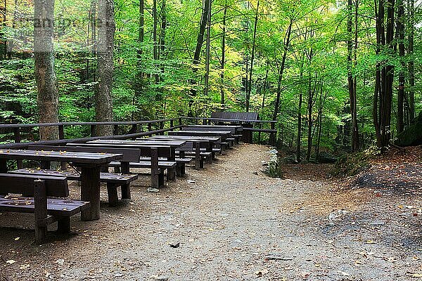 Tische mit Bänken im Wald  Picknick und Ruheplatz in gesunder natürlicher Umgebung