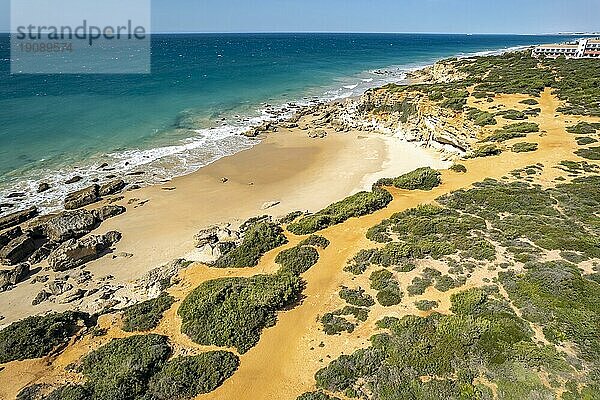 Blick über Küste und die Bucht Cala del Puntalejo  Conil de la Frontera  Costa de la Luz  Andalusien  Spanien  Europa