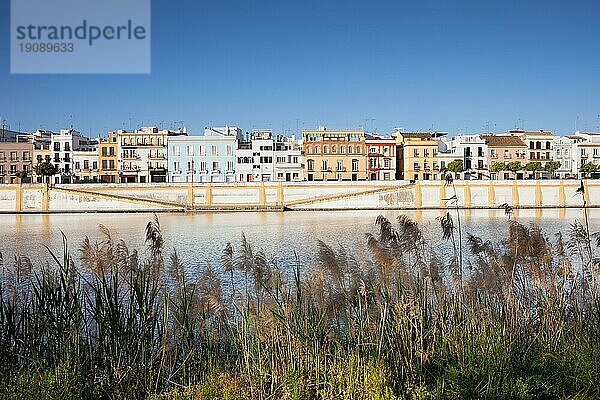 Traditionelle Wohnhäuser im Stadtteil Triana am Fluss Guadalquivir in der Stadt Sevilla  Andalusien  Spanien  Europa