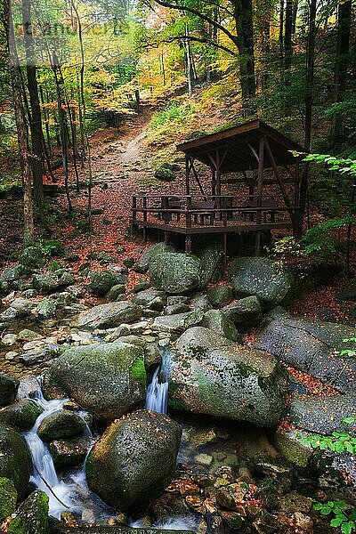 Ruhige Landschaft im Herbstwald  Schutz am Bach am Berghang