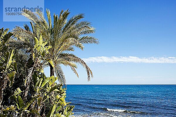 Wunderschöne Naturkulisse am großen blaün Meer an der Costa del Sol in Marbella  Spanien  Europa