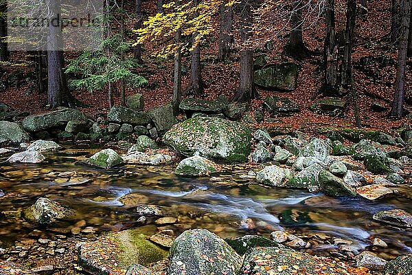 Bach im herbstlichen Bergwald  ruhige Szenerie in natürlicher Umgebung der Berge