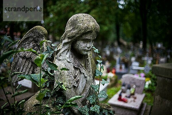 Kleine Engelsstatue aus dem 19. Jahrhundert in der alten Nekropole in Krakau  Polen  Friedhofsgrabstein Vintage Skulptur eines jungen Mädchens mit Flügeln  geringe Tiefenschärfe  Europa