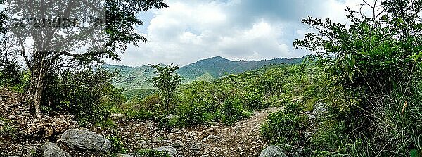 Panoramablick auf grüne Berge vom Wanderweg in Islamabad  Pakistan  Asien