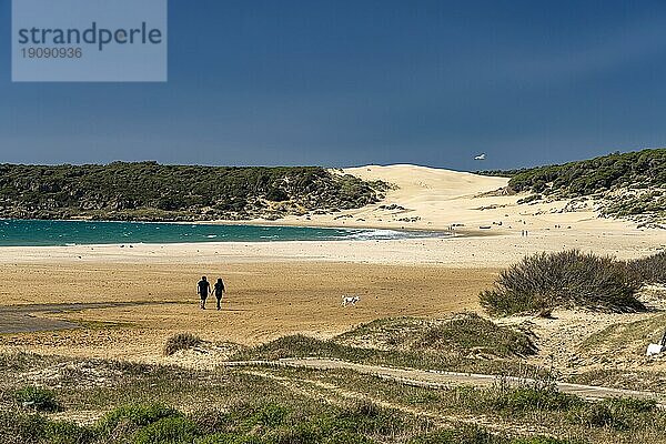 Der Strand von Bolonia  Tarifa  Costa de la Luz  Andalusien  Spanien  Europa