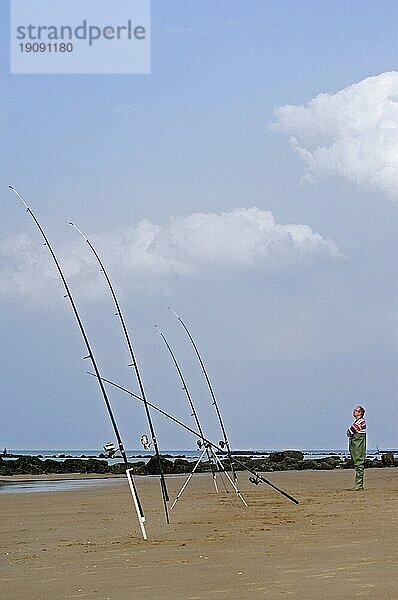 Meeresangler mit vielen Angelruten beim Fischen vom Strand entlang der Nordseeküste