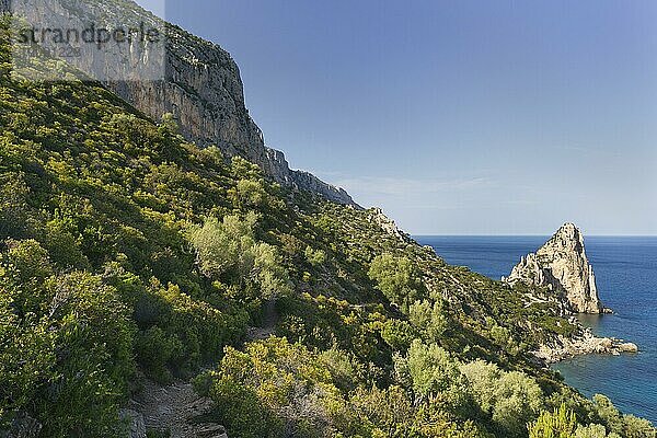 Die Felsnadel Petra Longa  Sardinien