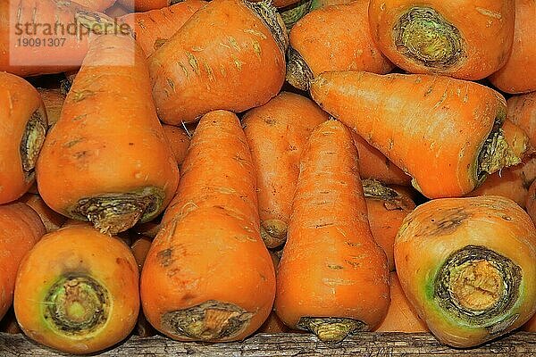 Carrots (Daucus carota) Vegetables  Farmers' Market  Funchal  Inaseel Madeira