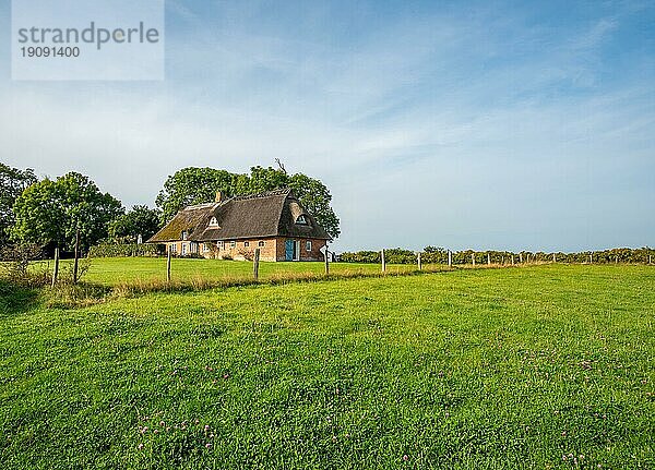 Reetdachhaus in Naturschutzgebiet