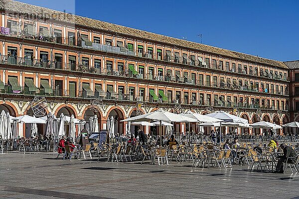 Restaurants auf dem Platz Plaza de la Corredera in Cordoba  Andalusien  Spanien  Europa