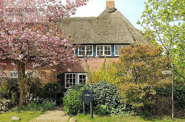 Friesenhaus in Schleswig Holstein