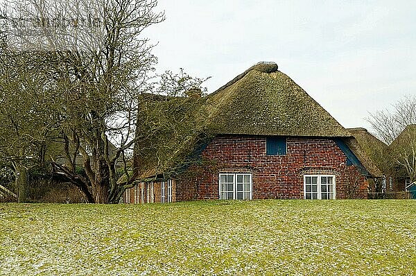 Friesenhaus hinter einem Deich