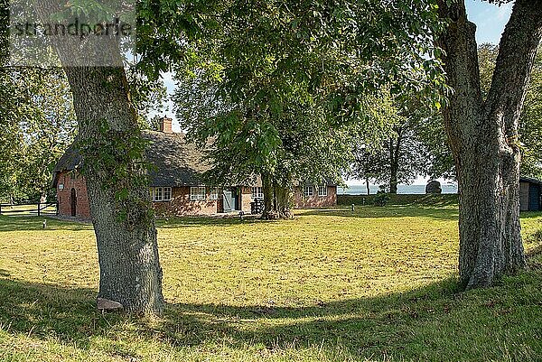 Vorgarten am Friesenhaus