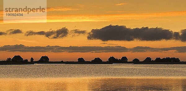 Strandhäuser an der Ostsee auf der Halbinsel Graswarder  Silhouette gegen den Sonnenuntergangshimmel im Sommer  Heiligenhafen  Schleswig Holstein  Deutschland  Europa