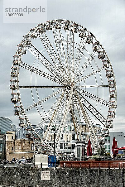 Riesenrad am Rheinauhafen