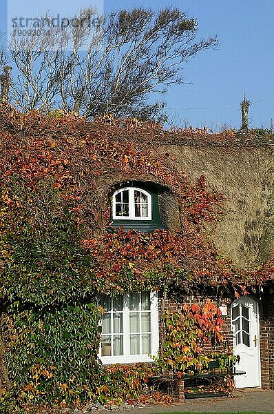 Herbstliches Reetdachhaus