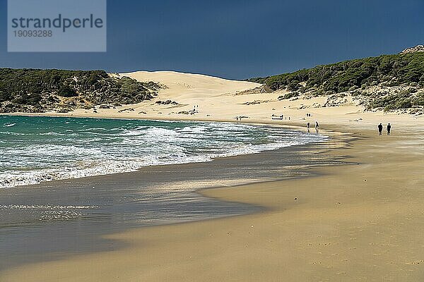 Der Strand und die Düne von Bolonia  Tarifa  Costa de la Luz  Andalusien  Spanien  Europa