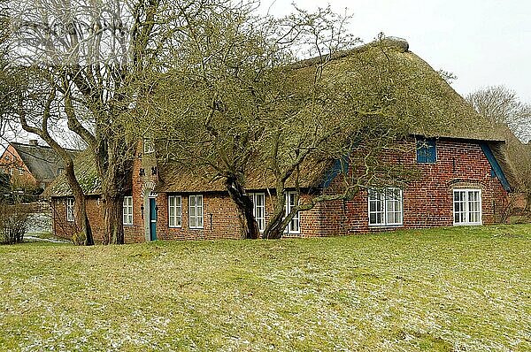 Friesenhaus in Schleswig Holstein