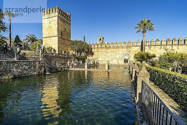 Wasserbecken  Gärten und Türme des Palastes  Alcázar de los Reyes Cristianos in Cordoba  Andalusien  Spanien  Europa