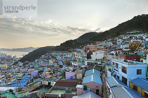 Bunte Häuser und Bucht  Gamcheon Cultural Village  Busan  Provinz Gyeongsangnam-do