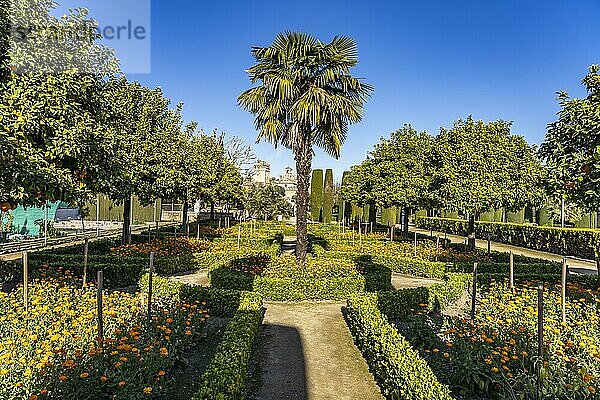 Gärten des Palastes  Alcázar de los Reyes Cristianos in Cordoba  Andalusien  Spanien  Europa