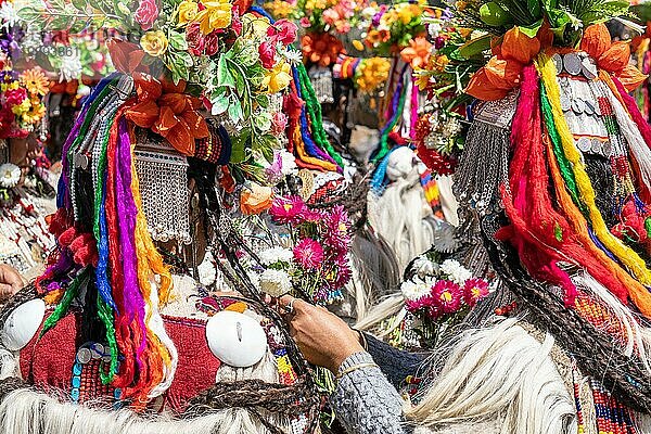 Ladakh  Indien  29. August 2018: Bunte traditionelle Hüte von Darstellern auf einem Festival in Ladakh  Indien. Illustrativer Leitartikel  Asien