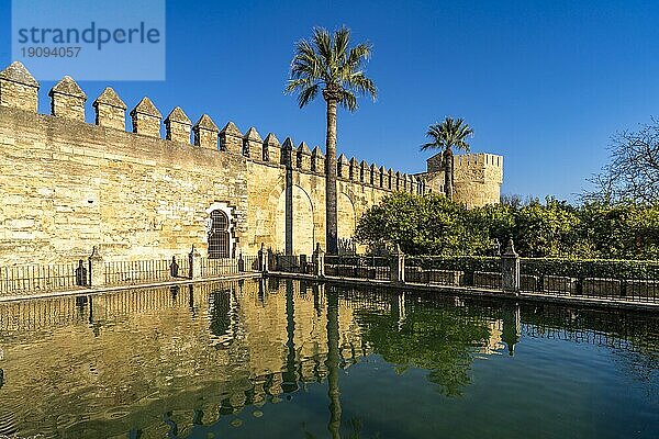 Wasserbecken und Mauern des Palastes  Alcázar de los Reyes Cristianos in Cordoba  Andalusien  Spanien  Europa