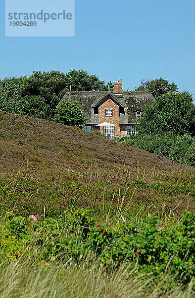 Reetdachhaus in der Bradruper Heide