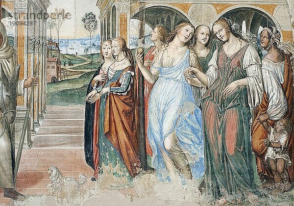 Der bedeutende Freskenzyklus über das Leben des Heiligen Benedikt im Olivitanermutterkloster ?Abbazia di Monte Oliveto Maggiore von den Malern Lucca Signorelli und Antonio Bazzi genannt Sodoma  Toskana  Italien  Europa Fresco cycle on the life of St. Benedict in the monastery Abbazia di Monte Oliveto Maggiore  by painters Lucca Signorelli and Antonio Bazzi called Sodoma  Tuscany  Italy  Europe  Europa