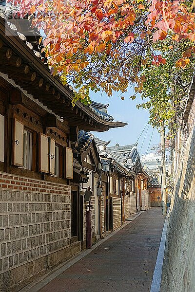 Alte traditionelle Häuser  Herbstlaub  Bukchon Hanok Village  Jongno-gu  Seoul