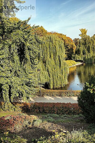 Der Sächsische Garten (polnisch: Ogrod Saski)  öffentlicher Park im Zentrum von Warschau  Polen  Europa