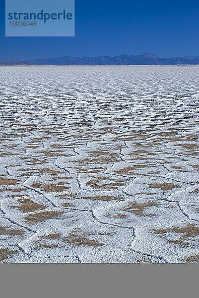 Malerische Salzwüste Salina Grandes in Argentinien