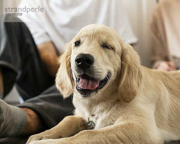 Mann Hund im Haus