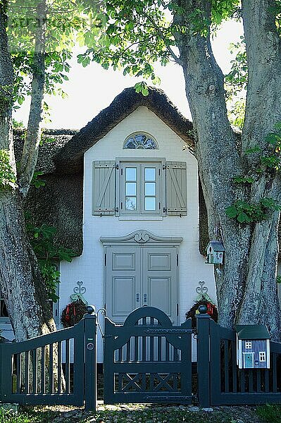 Reetdachhaus in Keitum