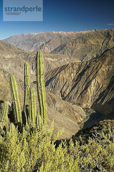 Malerischer Blick auf den Canon del Colca  berühmtes Touristenziel in Peru