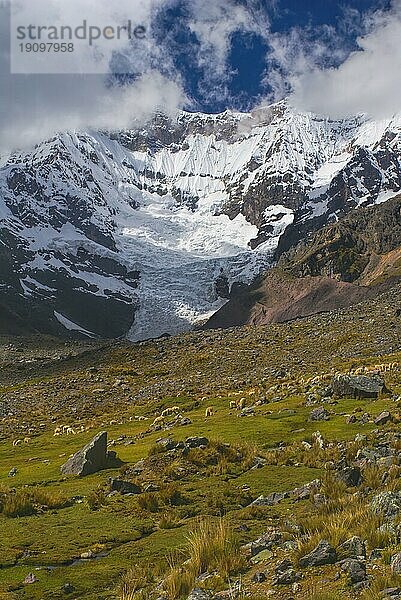 Majestätische Gipfel und eine Lamaherde in Ausangate in Peru  südamerikanische Anden