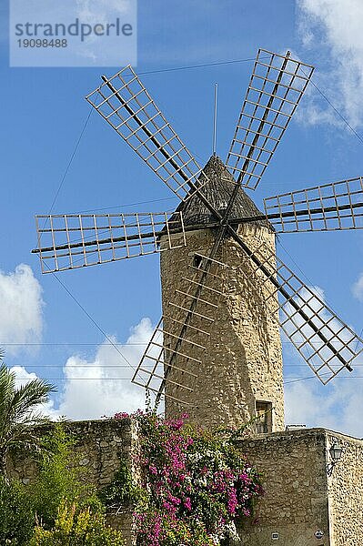 Windmühle in Pollenca auf Mallorca in Spanien