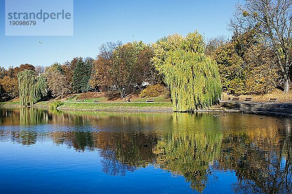 Moczydlo Park ruhige Landschaft am Teich im Herbst  Stadt Warschau  Polen  Europa