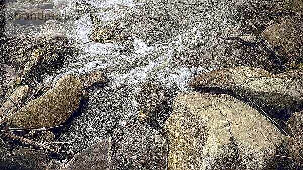 Nahaufnahme von Fluss und Steinen. Wasser in einem reißenden Bergfluss. Schöne natürliche Hintergrund von Steinen und Wasser. Die Textur von sauberem Wasser und schnellem Fluss. Hintergrund zum Einfügen Ihres Textes
