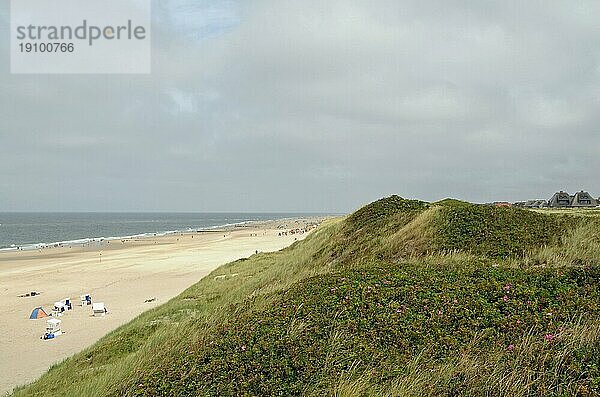 Westküste auf Sylt