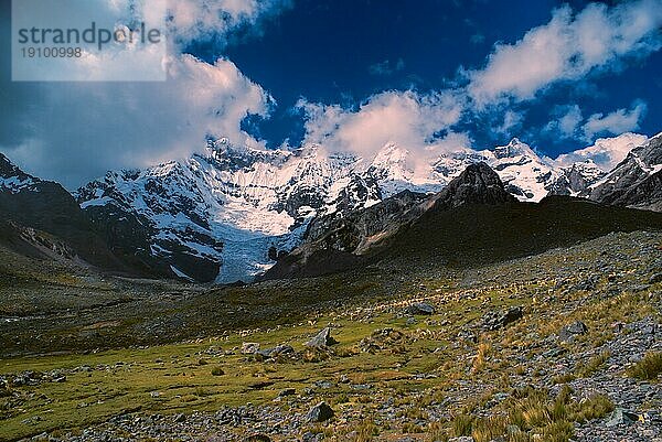 Malerische Gipfel und eine Lamaherde in Ausangate in Peru  südamerikanische Anden