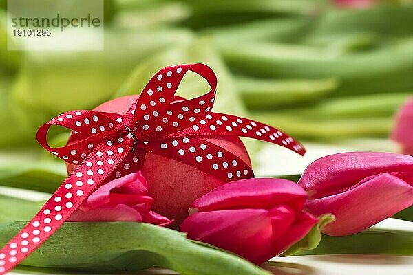 Osterei mit gepunkteter roter Schleife vor Tulpen Easter egg with spotted with red loop before tulips