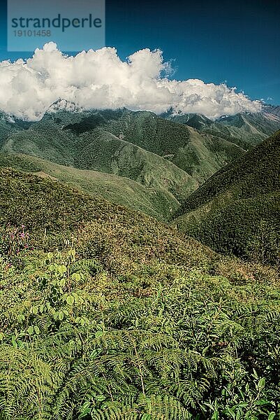 Malerisches grünes Tal in den Anden in Bolivien auf dem Choro Trek