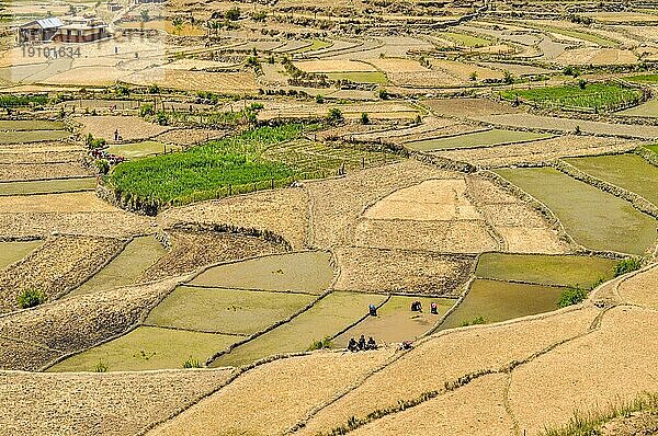 Landschaftliche Ansicht der traditionellen Landwirtschaft in Nepal