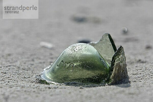 An den Strand angespülter Müll aus dem Meer  Einfluss des Menschen auf das marine Ökosystem  Minsener Oog  Niedersachsen  Deutschland  Europa