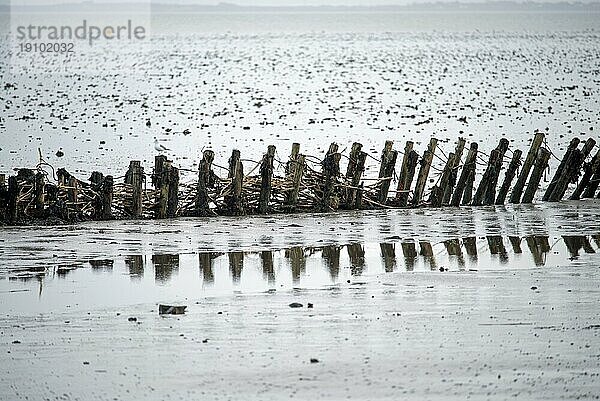 Wattenmeer an der Nordseeküste von Sylt