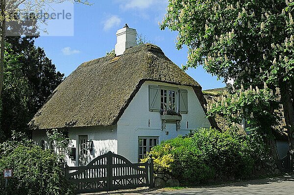 Friesenhaus auf Sylt