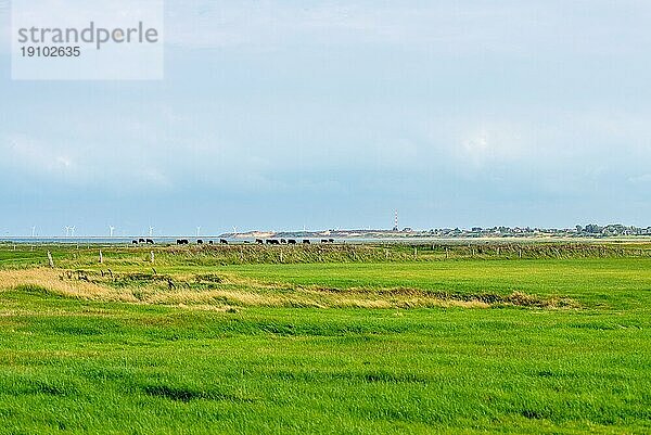 Landwirtschaft auf der Nordseeinsel Sylt