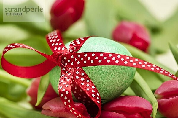 Osterei mit gepunkteter roter Schleife vor Tulpen Easter egg with spotted with red loop before tulips